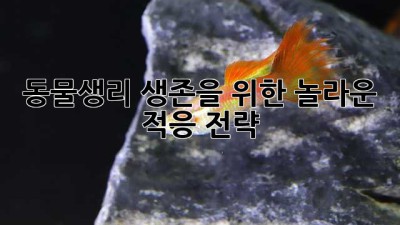 동물생리: 생존을 위한 놀라운 적응 전략